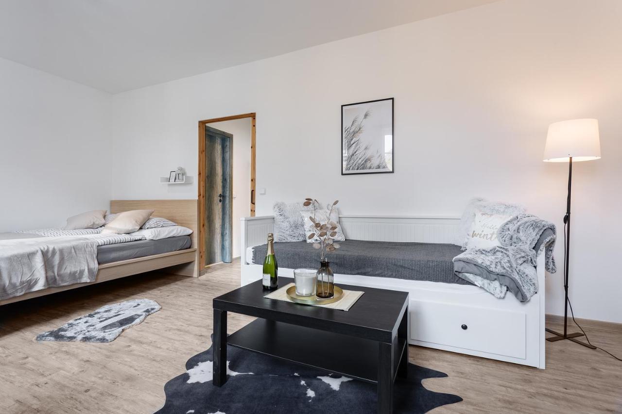 Vlevo Dole Koko Apartment By Sprava Ubytka Rokytnice nad Jizerou Eksteriør billede